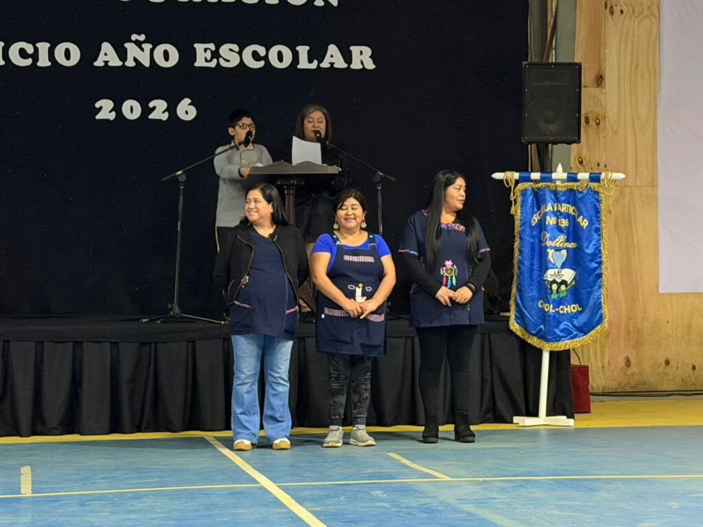 ASISTENTES DE ASEO